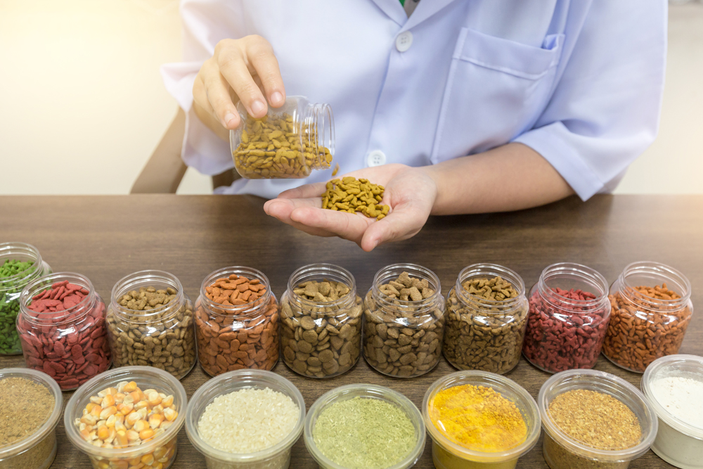 6 Things To Consider Before Approaching Food Ingredients Supplier